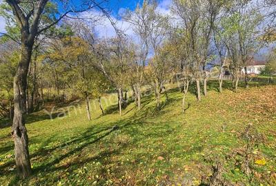 Teren de 1587 mp, în Arefu - 16