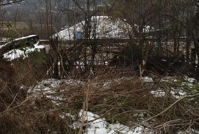 Casă cu 2 camere în Central