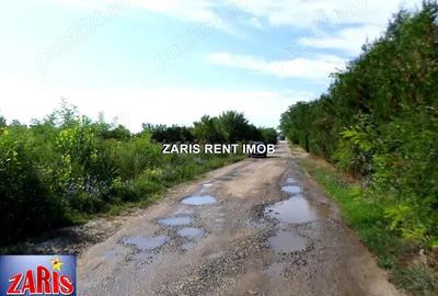 Teren intravilan de vanzare in Tatarani, Prahova - 2