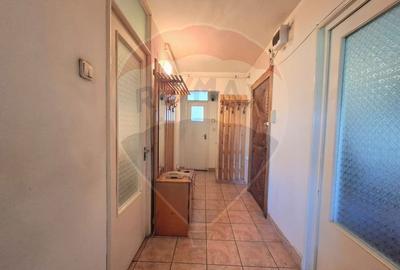 Apartament cu 3 camere decomandat, mobilat în Micălaca - 11