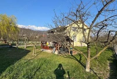 Casă cu Teren 1400 Mp în Tăuții de Sus - 9