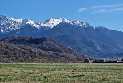 Teren Construcții intravilan de 1250 mp, în Glăjărie