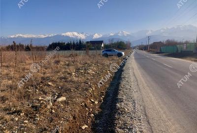 Teren intravilan 3000 mp de pe Valea Avrigului drum asfalta - 2