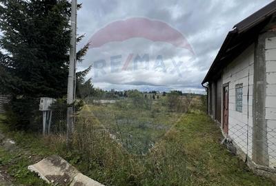 Teren 3,548mp, intravilan, Balcesti (Belis) - 2