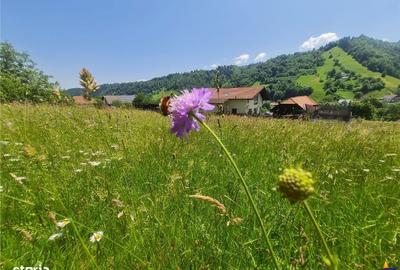 Teren de 2327 mp, în Moieciu - 12