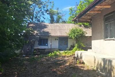 Casă cu 2 camere cu Teren 3100 Mp în Central - 2