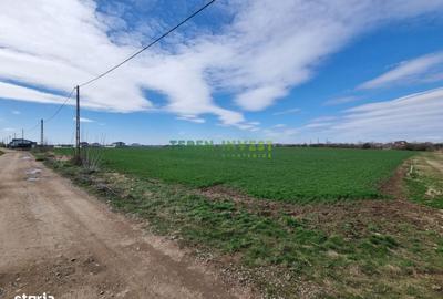 Spațiu comercial, în Balotești - 14