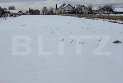 Teren intravilan de vanzare. 1696 mp - Mitocul Dragomirnei, - 1