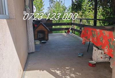 Casă cu 3 camere cu Teren 500 Mp în Brănești - 10