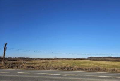 Teren extravilan - constructii, suprafata 49.933 mp, drumul E79, Beius - 9