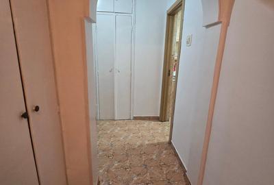 Apartament cu 2 camere decomandat, mobilat în Gorjului - 18