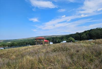 Teren de 2382 mp, în Bârnova - 5