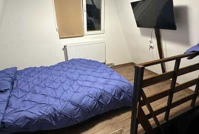 Casă cu 2 camere în Iapa - 3