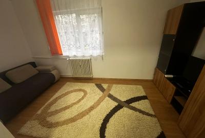 Apartament cu 2 camere, etajul 1/4, PET FRIENDLY, zona Podu Ros - 3