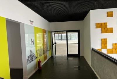 Birou, de 450 mp, în Grozăvești - 4