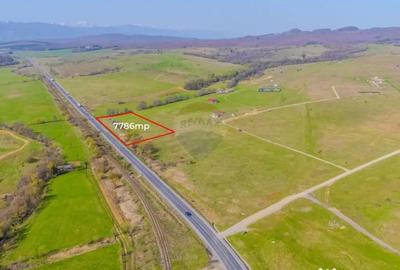 Teren de 7786 mp, în Vlădeni - 1