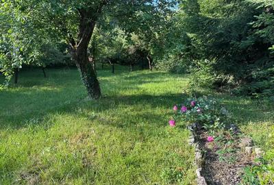 Casă cu 5 camere cu Teren 1600 Mp în Schei - 1