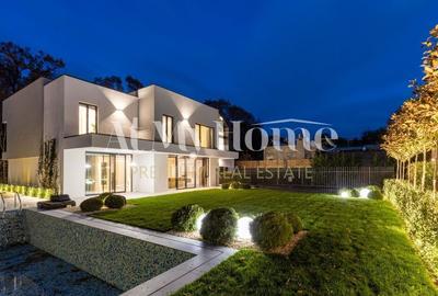 Vila langa padure Iancu Nicolae | Piscina - 1