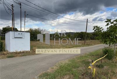 Teren intravilan 1882 mp, deschidere dubla, Boldesti Scaien - 12