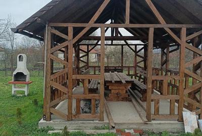 Casă cu 4 camere cu Teren 11700 Mp în Băbeni - 4