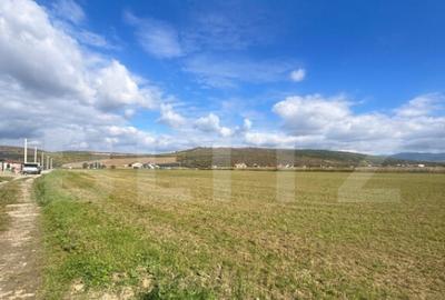 Teren Extravilan in Apropiere de Jelna 25.800 mp, cu Ut - 7