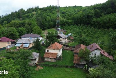 Casă cu 5 camere cu Teren 3600 Mp în Vulturești - 11
