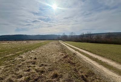 Teren Construcții intravilan de 802 mp, în Pișchia - 5