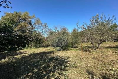 Teren de 4101 mp, în Coruia - 7