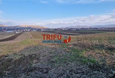 Spațiu comercial, în Bărăbanț - 4