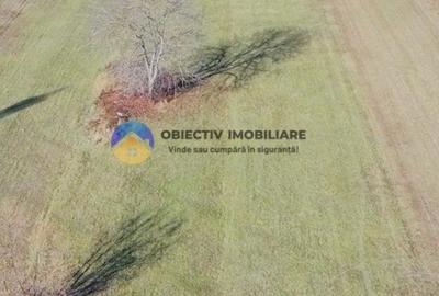 TEREN intravilan  4488 mp - PANGĂRAȚI - 10