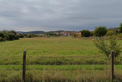 Teren intravilan 8000 mp , DR.D.Vechi - 7