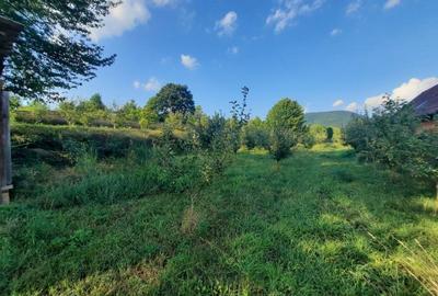 Teren de vanzare Viisoara (Pensiunea Smarandita) 1091 mp , Cod 148077 - 1