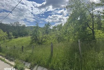 Teren de 1719 mp, în Văleni-Dâmbovița - 5