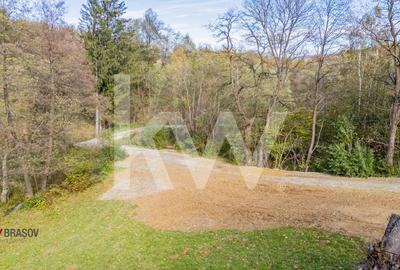 Vanzare teren intravilan 37723 mp Zarnesti Tohanita - 14