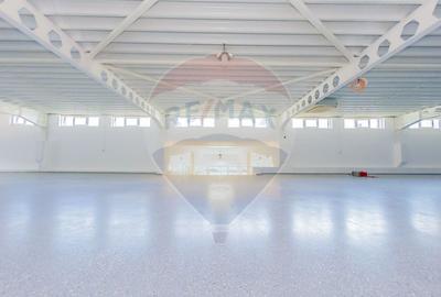 Spațiu comercial, de 1,405 mp, în Griviței - 9