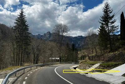 Teren de 10000 mp, în Izvoru - 4