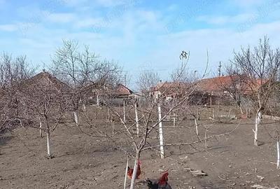 Casă cu Teren 1075 Mp în Central - 5