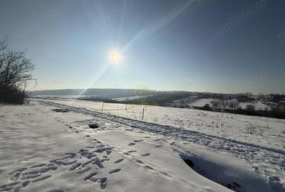 Teren de 1439 mp, în Viile Satu Mare - 3