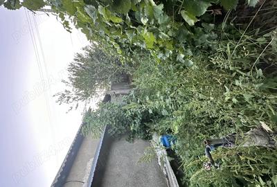 Vand casa batraneasca Vand casa batraneasca - 5