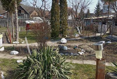 Casă cu 2 camere cu Teren 1200 Mp în Central - 2