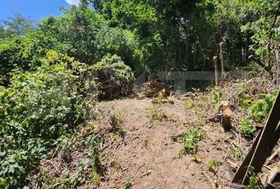 OPORTUNITATE! Casa 2 camere, teren 620mp, vedere panoramica, in Schei - 2