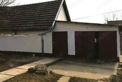 Vand Vila in Ungaria - Mezohegyes, 40 km de Arad - 8