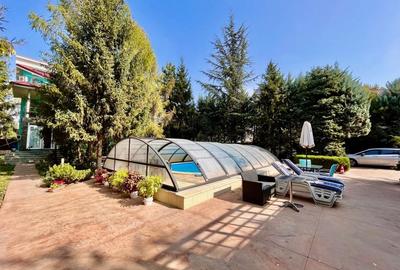 Casă individuală cu 13 camere cu Piscina în Voluntari