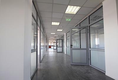 Birouri si hala in parc industrial - zona vest Birouri si hala in parc industrial - zona vest - 3