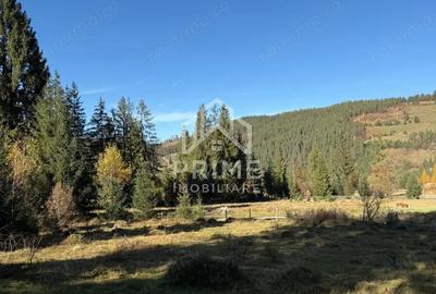 Teren de 500 mp, în Galbena - 1