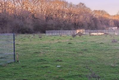 Spațiu comercial, în Hărman - 6