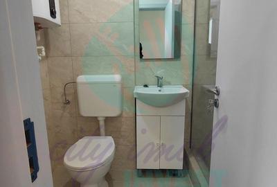 Garsoniera renovata complet | ParkLake & IOR | Bd. Camil Ressu - 7