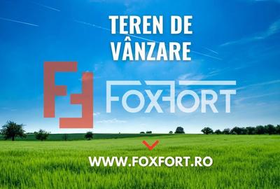COMISION 0% Teren extravilan Mosnita in zona de Padurea Bistra - 66.667 mp - 3