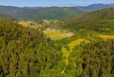 COMISION 0% Teren Bradet 7300 + 6000 mp/ Sacele /Intravilan - 5