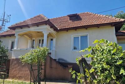 Casă cu 5 camere cu Teren 10426 Mp în Est - 13